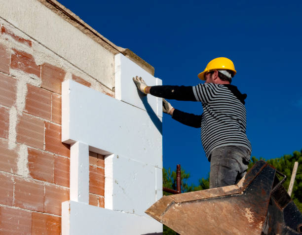 Best Specialized Insulation Services in Buena Vista, GA