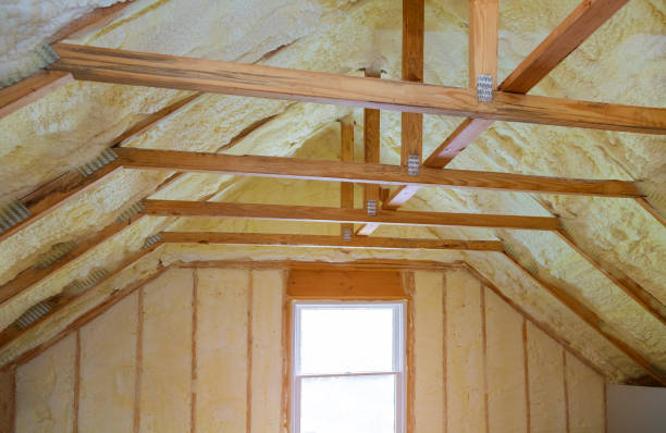 Best Spray Foam Insulation in Buena Vista, GA