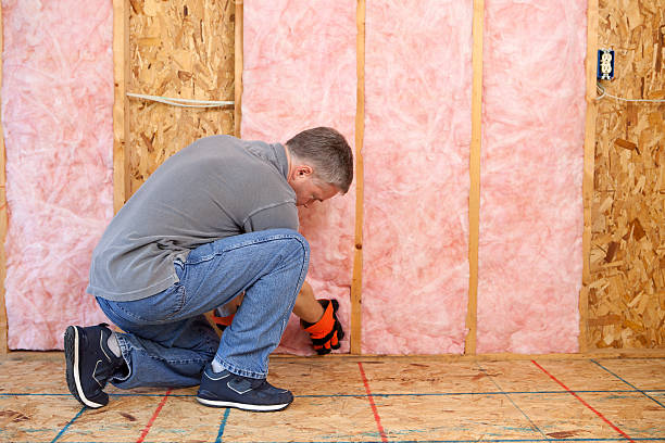 Best Insulation Maintenance and Repair in Buena Vista, GA